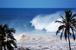 Tres Palmas, looking like one of those old photographs of Waimea taken back in the 60's.